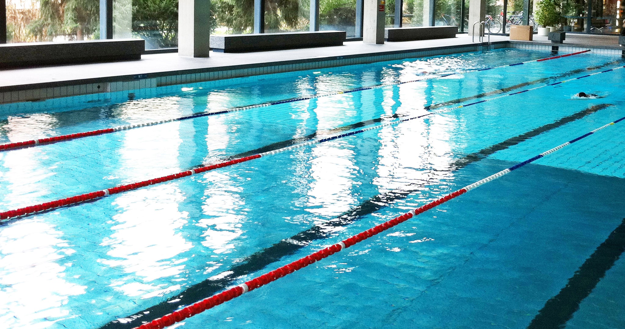 Hallenbad mit Miniwave Schwimmleinen und Schwimmer